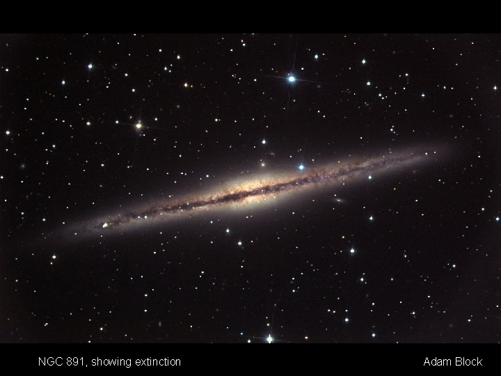 NGC 891, showing extinction Adam Block 