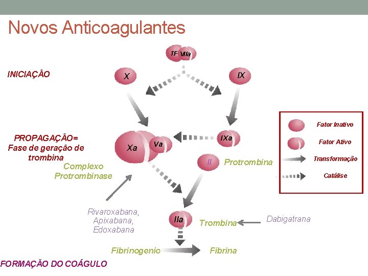 Novos Anticoagulantes TF VIIa INICIAÇÃO IX X Legenda Fator Inativo PROPAGAÇÃO= Fase de geração