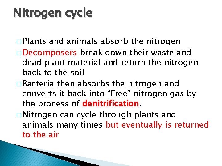 Nitrogen cycle � Plants and animals absorb the nitrogen � Decomposers break down their