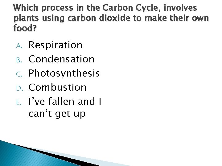 Which process in the Carbon Cycle, involves plants using carbon dioxide to make their