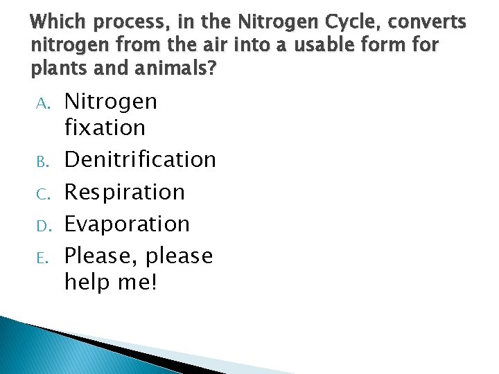 Which process, in the Nitrogen Cycle, converts nitrogen from the air into a usable