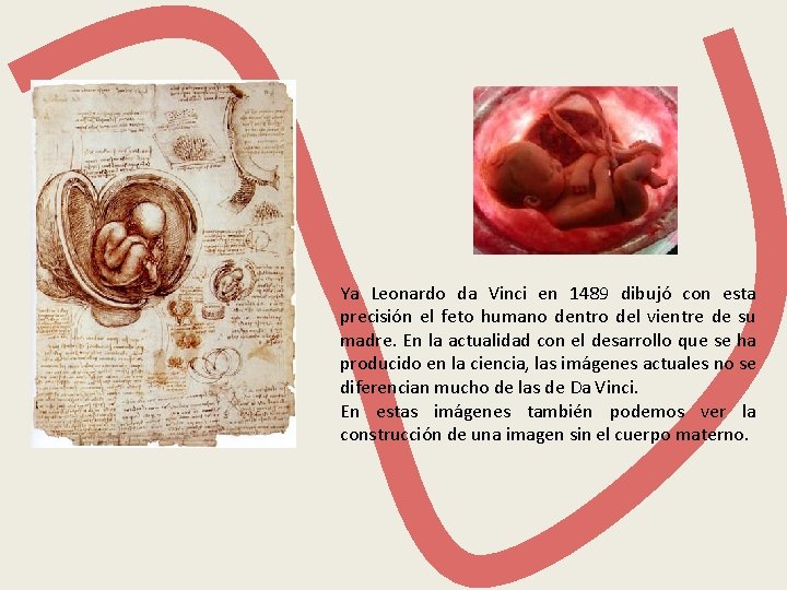 Ya Leonardo da Vinci en 1489 dibujó con esta precisión el feto humano dentro