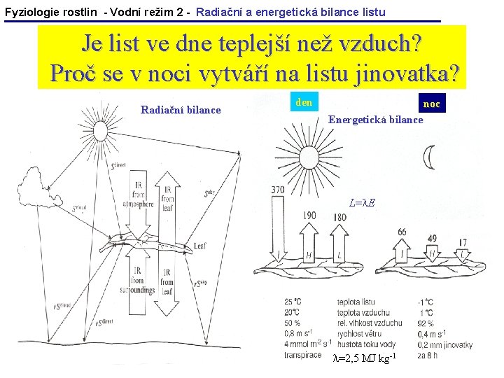 Fyziologie rostlin - Vodní režim 2 - Radiační a energetická bilance listu Je list