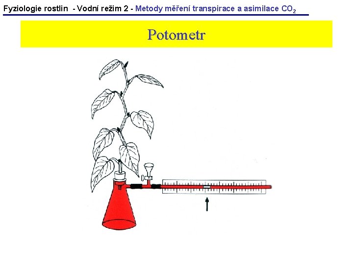 Fyziologie rostlin - Vodní režim 2 - Metody měření transpirace a asimilace CO 2