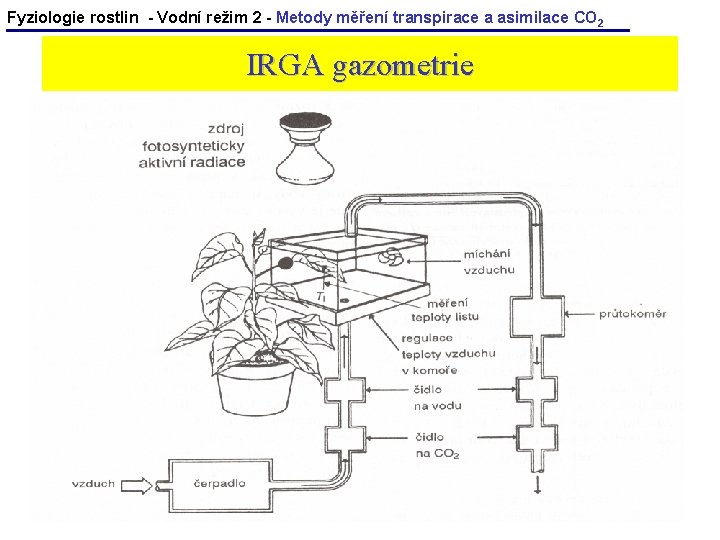 Fyziologie rostlin - Vodní režim 2 - Metody měření transpirace a asimilace CO 2