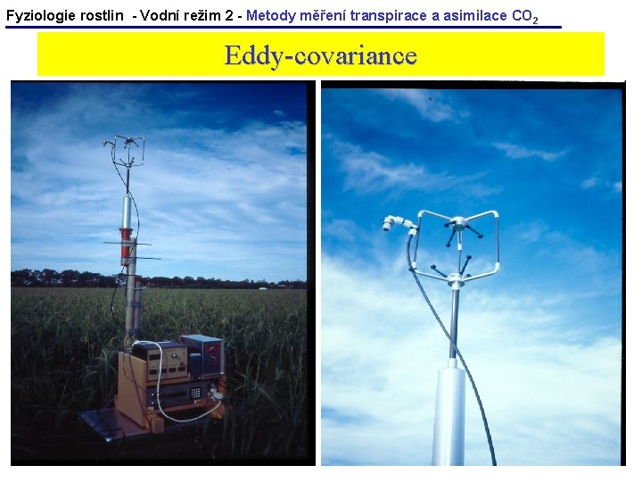 Fyziologie rostlin - Vodní režim 2 - Metody měření transpirace a asimilace CO 2