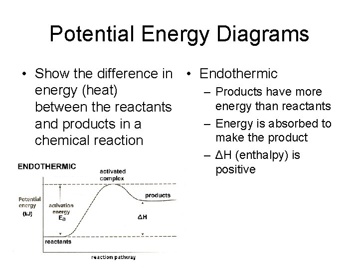 Potential Energy Diagrams • Show the difference in • Endothermic energy (heat) – Products