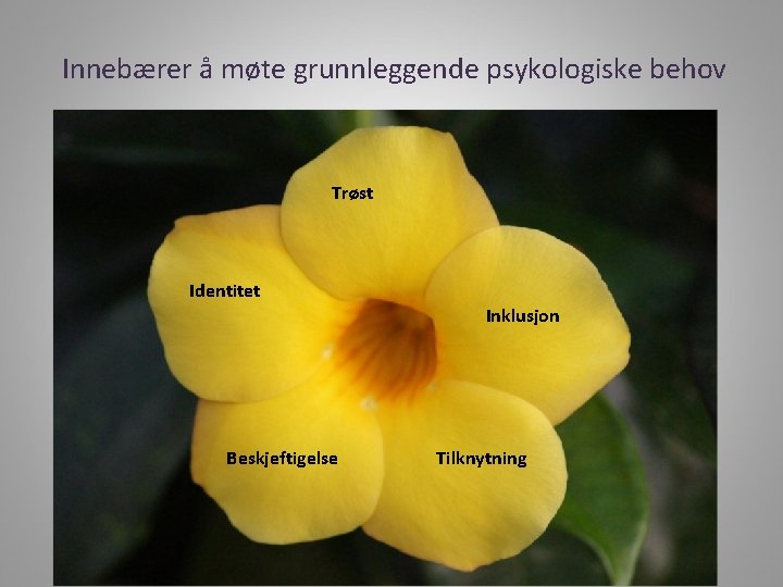 Innebærer å møte grunnleggende psykologiske behov Trøst Identitet Inklusjon Beskjeftigelse Tilknytning 