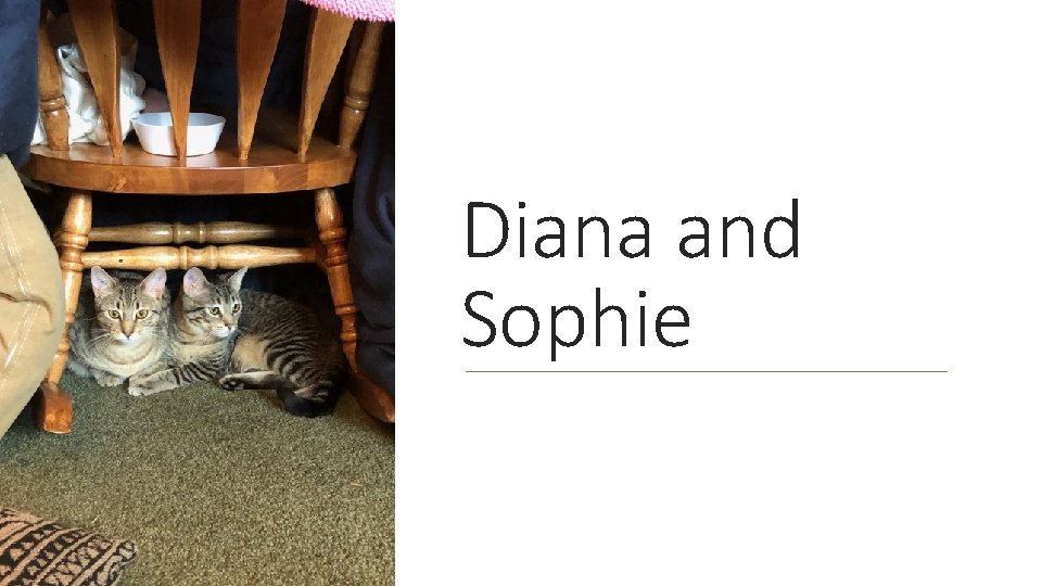 Diana and Sophie 
