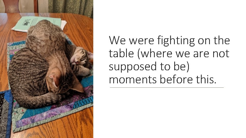 We were fighting on the table (where we are not supposed to be) moments