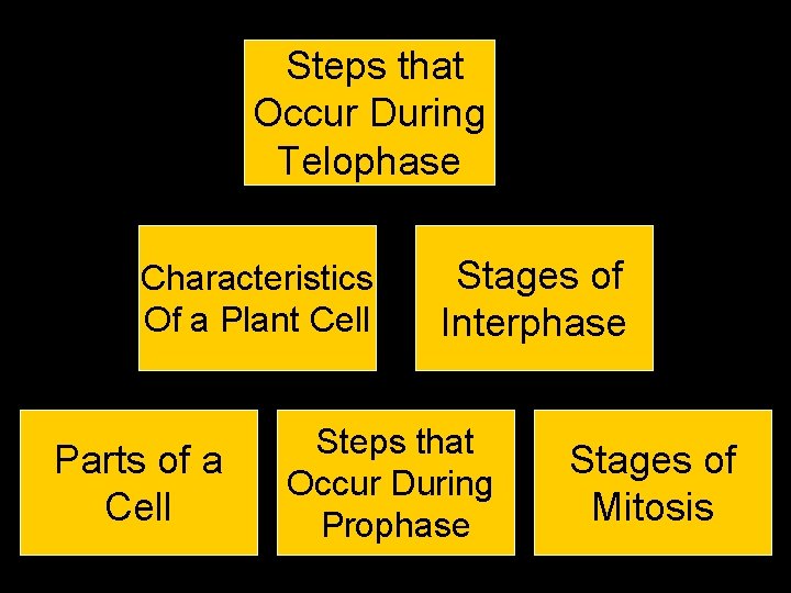 Steps that $100, 000 During Occur Telophase Characteristics $50, 000 Of a Plant Cell