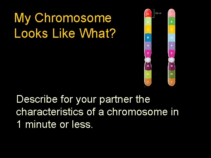 My Chromosome Looks Like What? Describe for your partner the characteristics of a chromosome