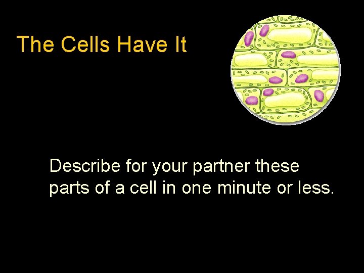 The Cells Have It Describe for your partner these parts of a cell in