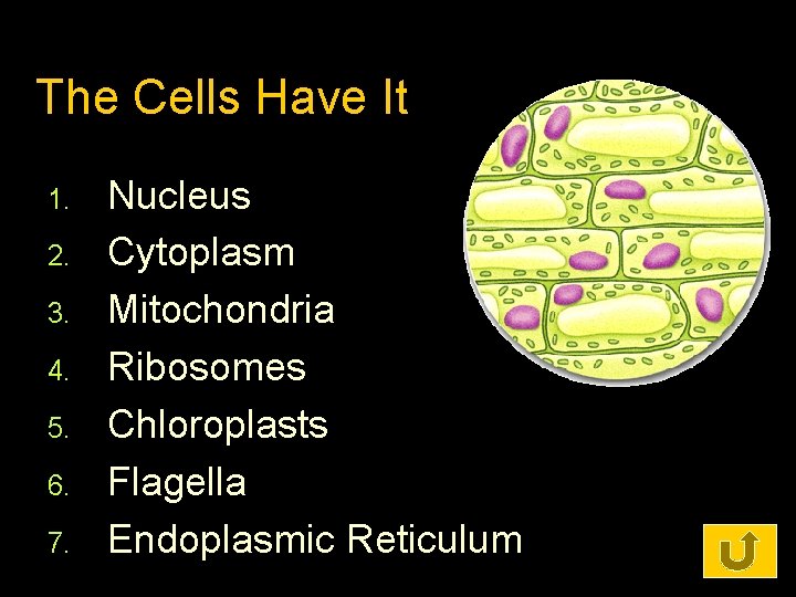 The Cells Have It 1. 2. 3. 4. 5. 6. 7. Nucleus Cytoplasm Mitochondria