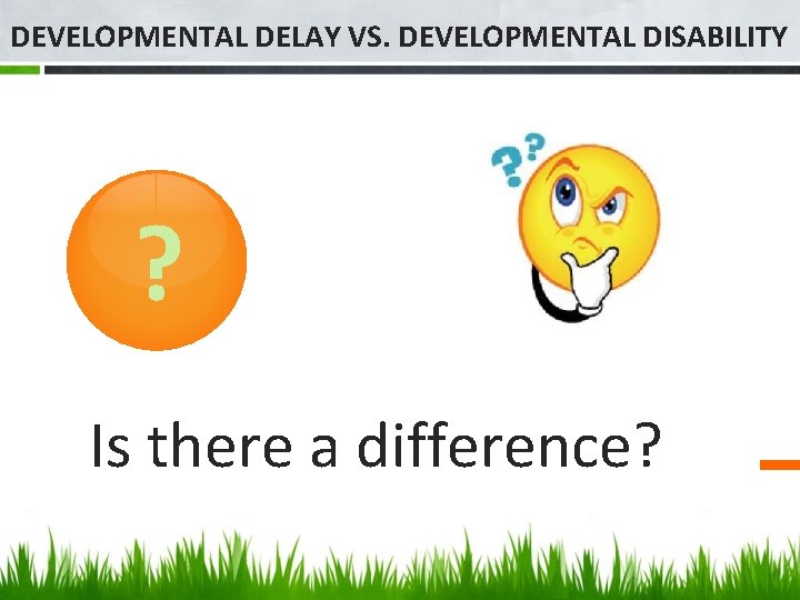 DEVELOPMENTAL DELAY VS. DEVELOPMENTAL DISABILITY ? Is there a difference? 