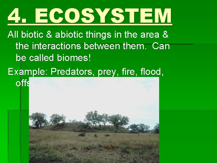 4. ECOSYSTEM All biotic & abiotic things in the area & the interactions between