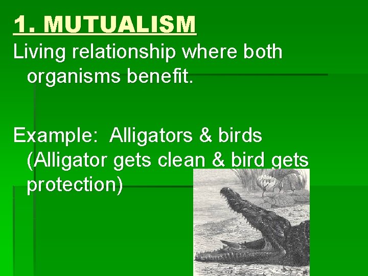 1. MUTUALISM Living relationship where both organisms benefit. Example: Alligators & birds (Alligator gets