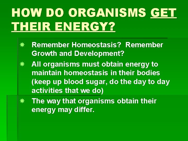 HOW DO ORGANISMS GET THEIR ENERGY? Remember Homeostasis? Remember Growth and Development? All organisms