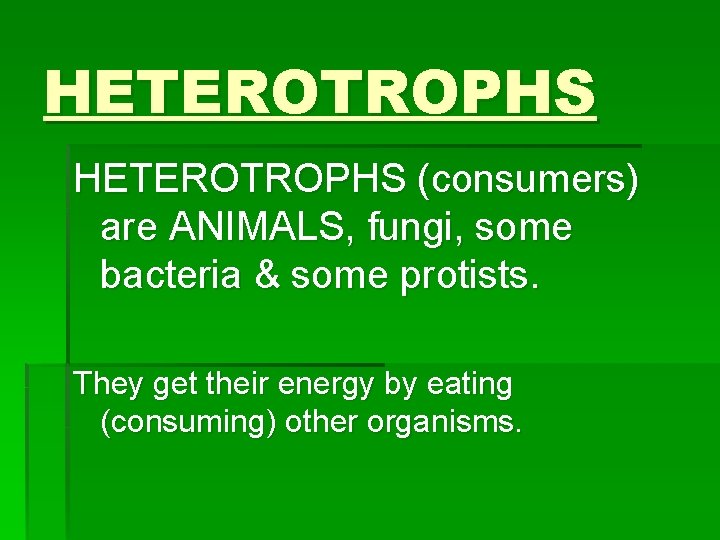 HETEROTROPHS (consumers) are ANIMALS, fungi, some bacteria & some protists. They get their energy