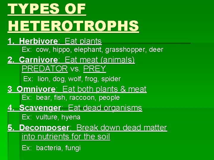 TYPES OF HETEROTROPHS 1. Herbivore: Eat plants Ex: cow, hippo, elephant, grasshopper, deer 2.