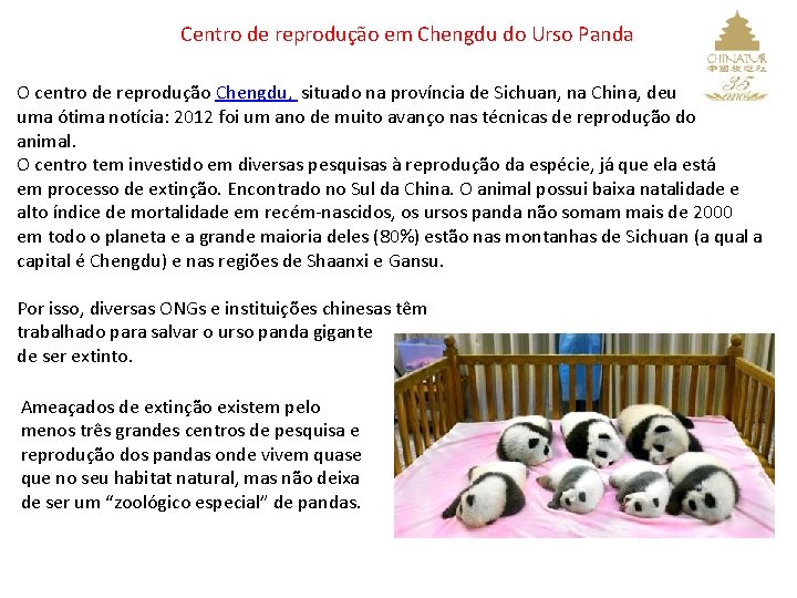 Centro de reprodução em Chengdu do Urso Panda O centro de reprodução Chengdu, situado