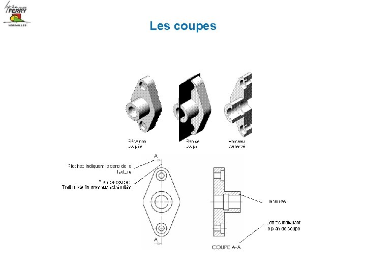 Les coupes 