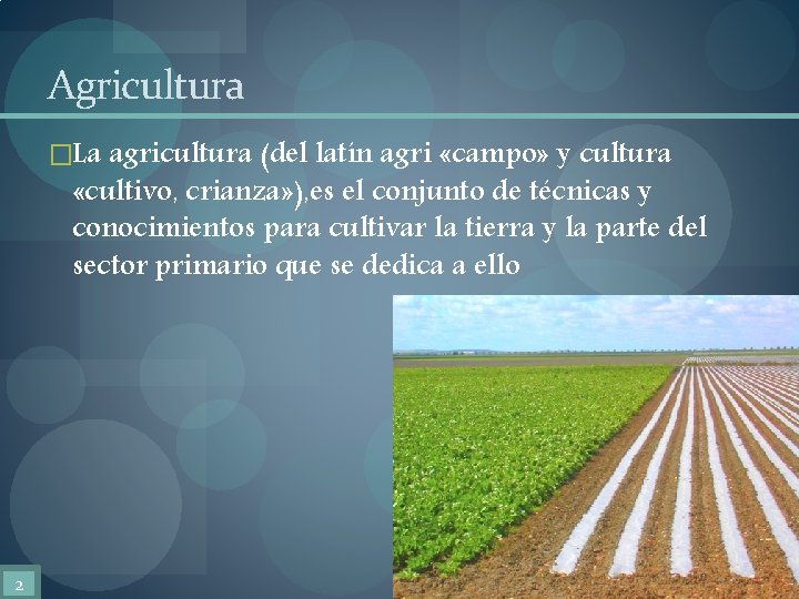 Agricultura �La agricultura (del latín agri «campo» y cultura «cultivo, crianza» ), es el