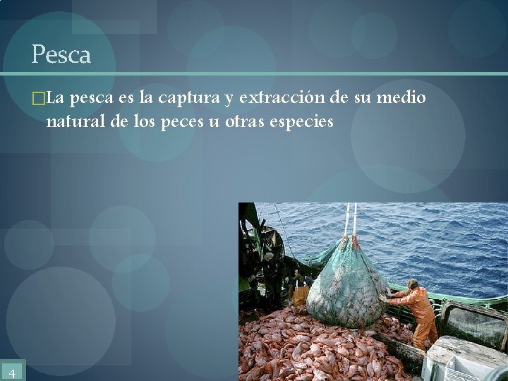 Pesca �La pesca es la captura y extracción de su medio natural de los