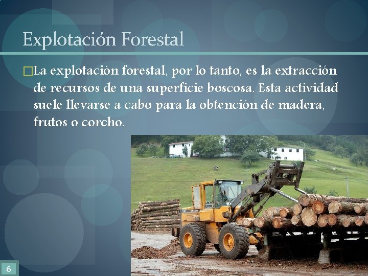 Explotación Forestal �La explotación forestal, por lo tanto, es la extracción de recursos de