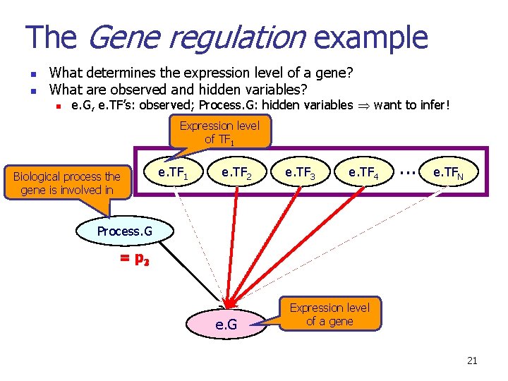 The Gene regulation example n n What determines the expression level of a gene?