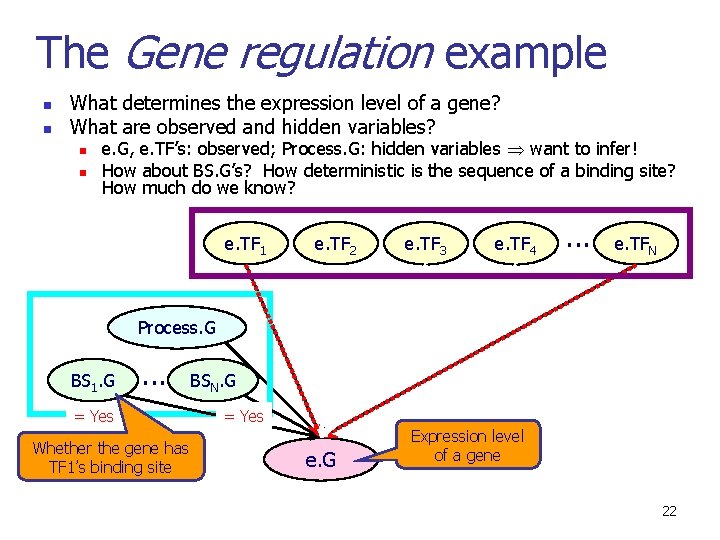 The Gene regulation example n n What determines the expression level of a gene?