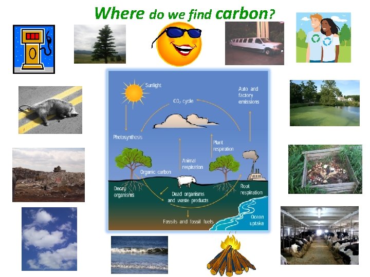 Where do we find carbon? 