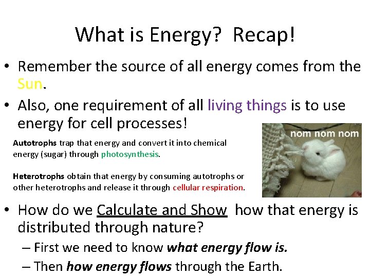 What is Energy? Recap! • Remember the source of all energy comes from the
