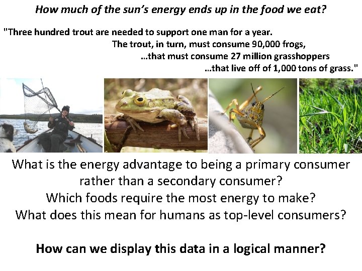 How much of the sun’s energy ends up in the food we eat? "Three