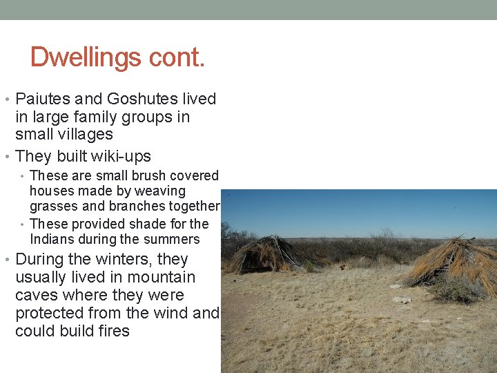 Dwellings cont. • Paiutes and Goshutes lived in large family groups in small villages