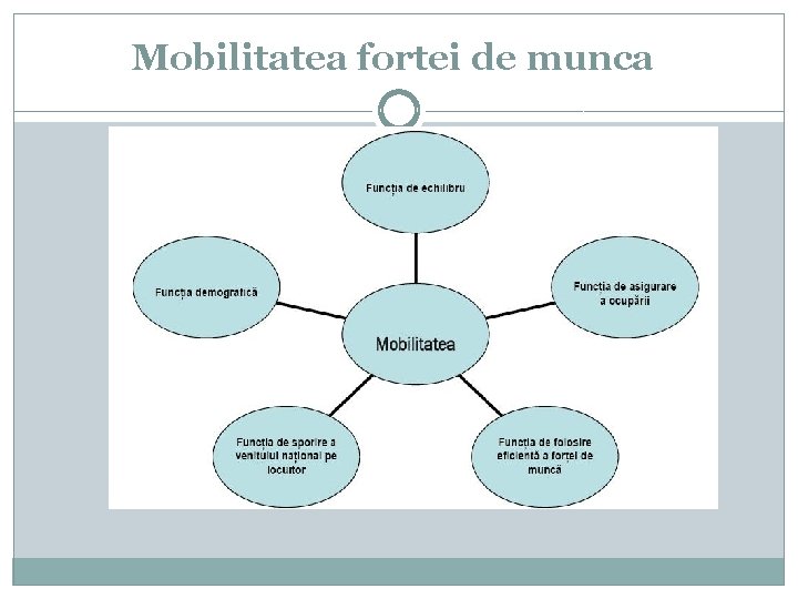 Mobilitatea fortei de munca 