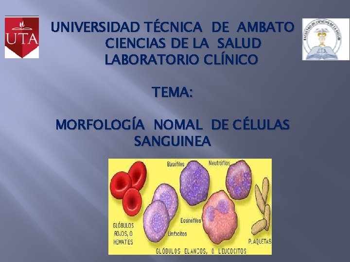 UNIVERSIDAD TÉCNICA DE AMBATO CIENCIAS DE LA SALUD LABORATORIO CLÍNICO TEMA: MORFOLOGÍA NOMAL DE