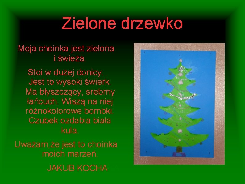 Zielone drzewko Moja choinka jest zielona i świeża. Stoi w dużej donicy. Jest to