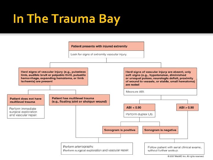 In The Trauma Bay In The Trauma Bay
