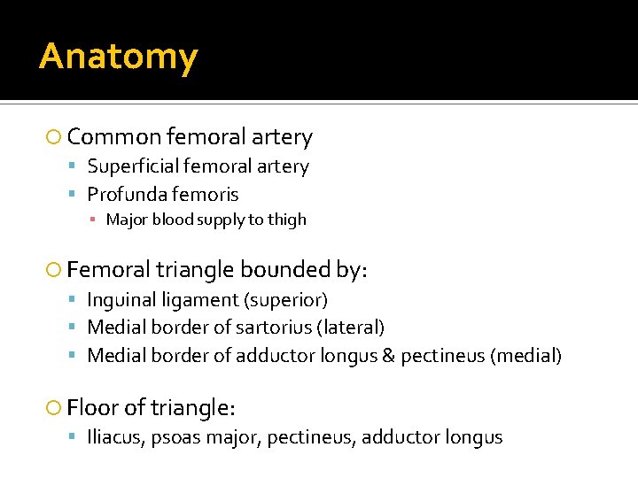 Anatomy Common femoral artery Superficial femoral artery Profunda femoris ▪ Major blood supply to Anatomy Common femoral artery Superficial femoral artery Profunda femoris ▪ Major blood supply to