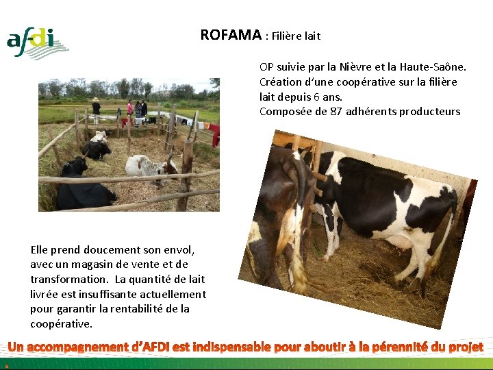 ROFAMA : Filière lait OP suivie par la Nièvre et la Haute-Saône. Création d’une