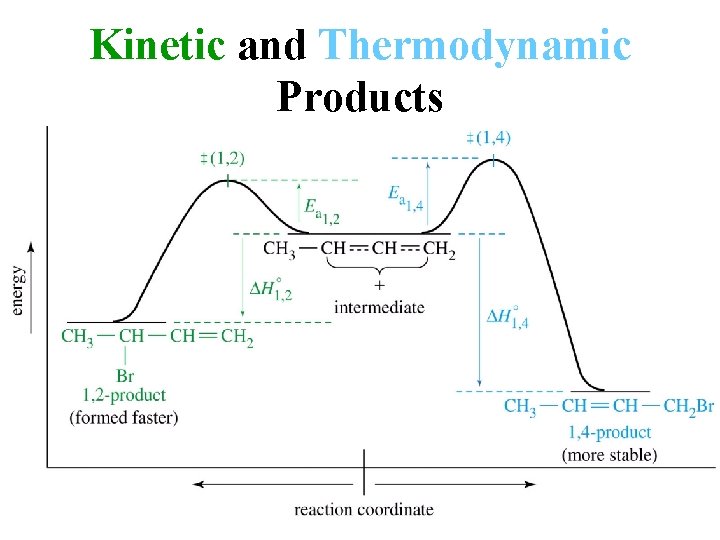 Kinetic and Thermodynamic Products 