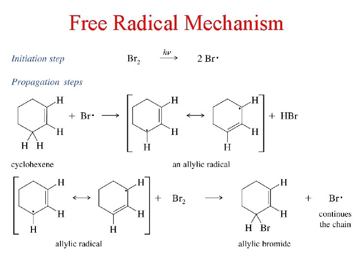 Free Radical Mechanism 