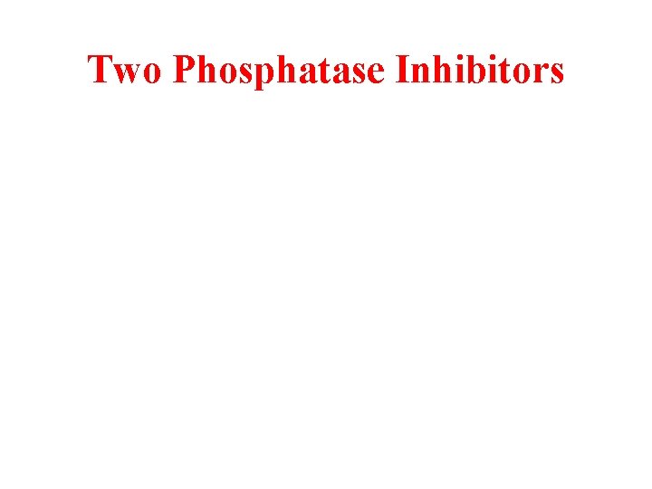 Two Phosphatase Inhibitors 