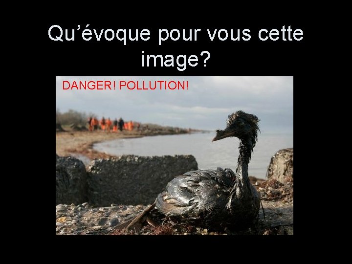 Qu’évoque pour vous cette image? DANGER! POLLUTION! 