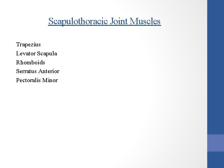 Scapulothoracic Joint Muscles Trapezius Levator Scapula Rhomboids Serratus Anterior Pectoralis Minor 