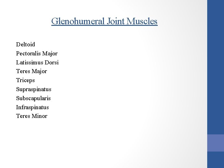 Glenohumeral Joint Muscles Deltoid Pectoralis Major Latissimus Dorsi Teres Major Triceps Supraspinatus Subscapularis Infraspinatus