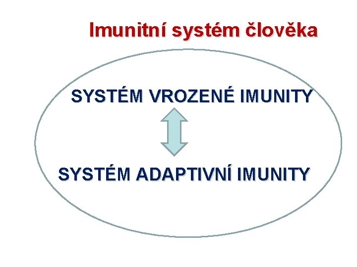 Imunitní systém člověka SYSTÉM VROZENÉ IMUNITY SYSTÉM ADAPTIVNÍ IMUNITY 