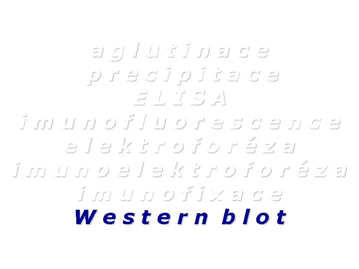 aglutinace precipitace ELISA imunofluorescence elektroforéza imunofixace Western blot 