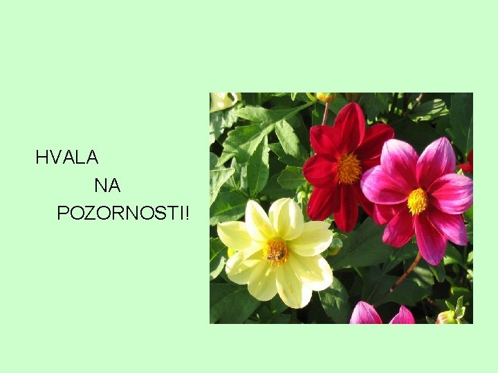 HVALA NA POZORNOSTI! 